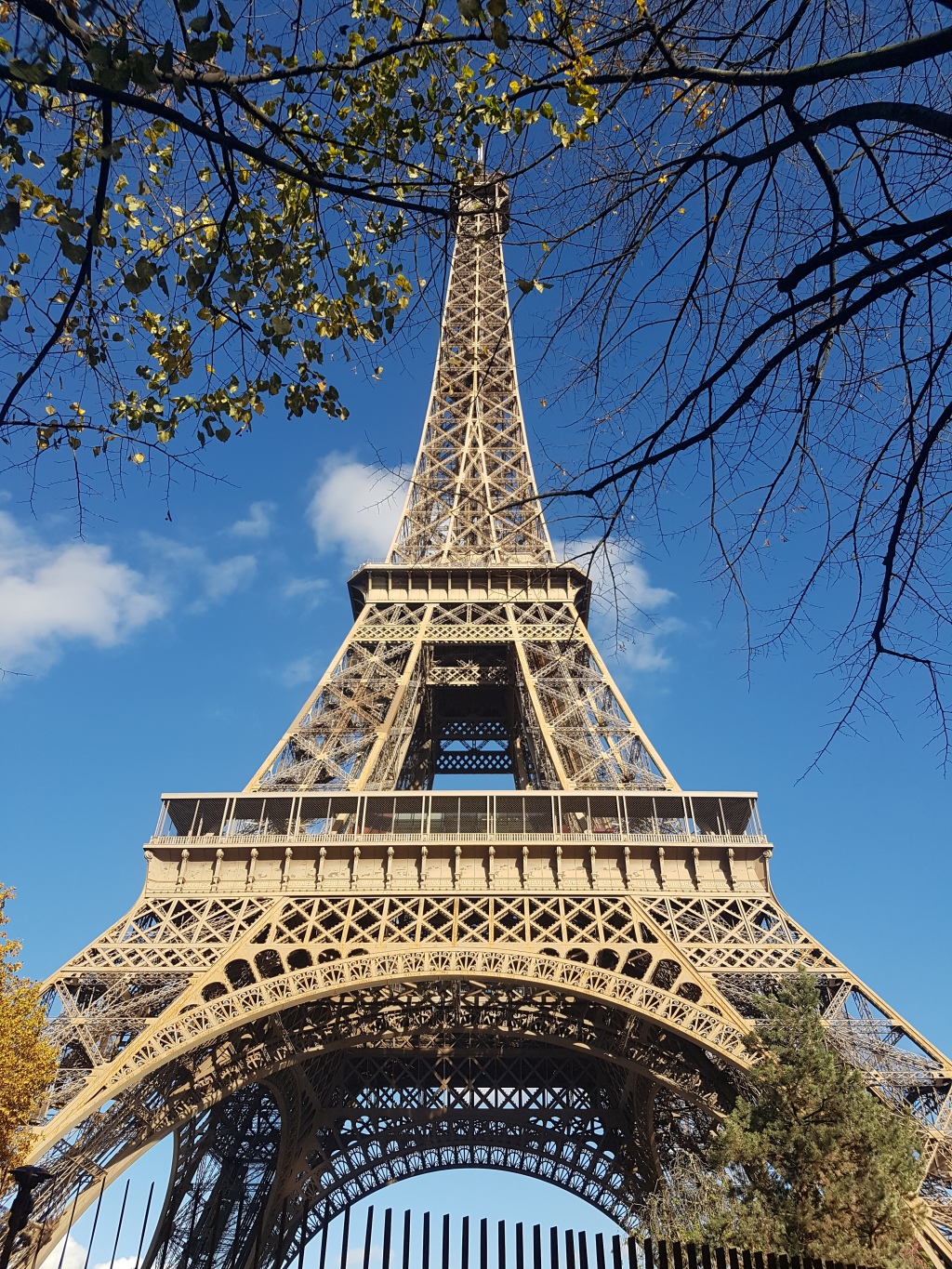 Paris: Disney, Eiffel Tower and the longest bus ride in history…